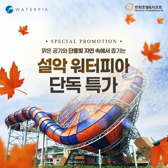 설악 워터피아 주간 종일 나이트스파