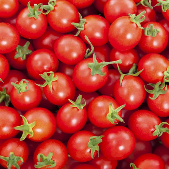 대추방울토마토 1kg