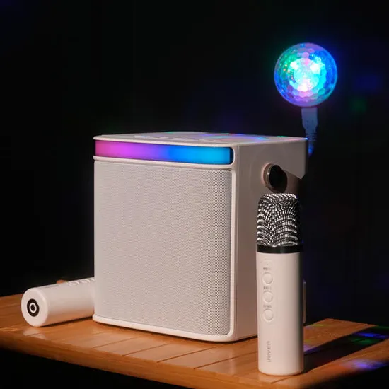 아이리버 하이엔드 스피커 홈파티 휴대용 무선 블루투스 노래방 스피커 듀얼마이크 BTS-805