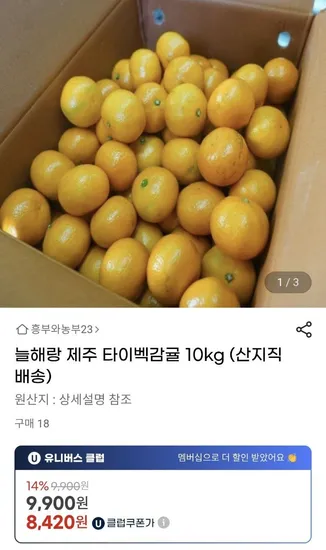 타이벡감귤 중대과 L 2L 10kg