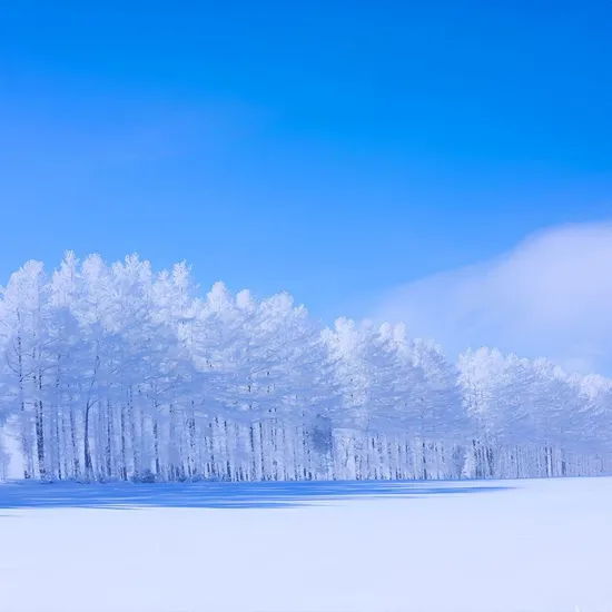 삿포로 자유여행 3박4일 패키지