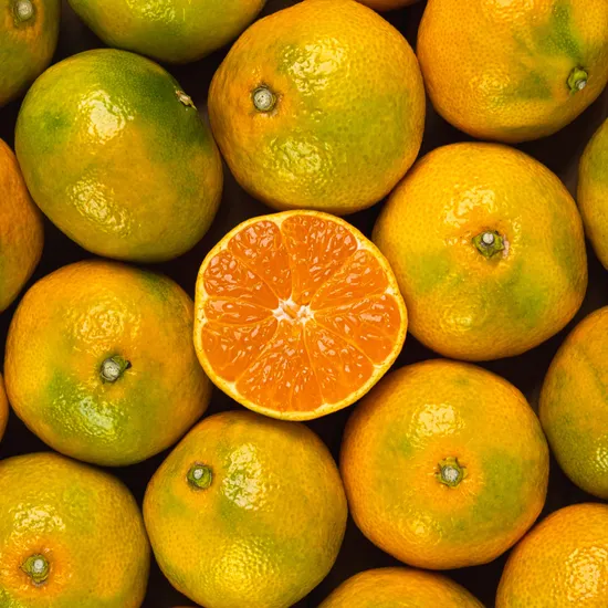 극조생 감귤 4.5kg 대과