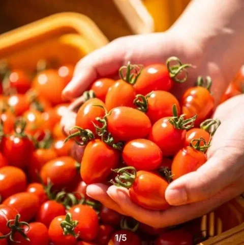 대추방울 토마토 2kg