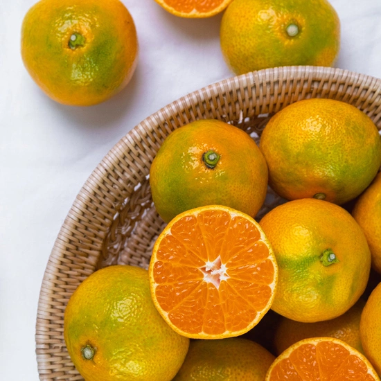 당도선별 제주 극조생 노지감귤 소과로얄 4.5kg