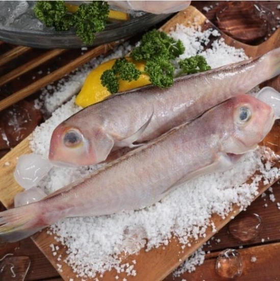 제주 옥돔 6미+6미 총 12미(1.2kg)