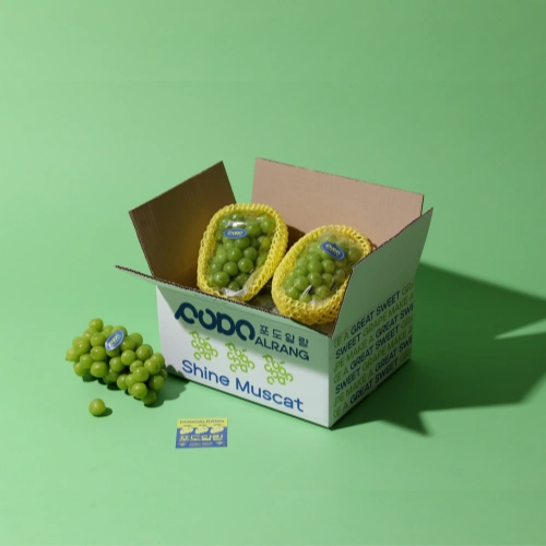 포도알랑 샤인머스켓 2.4kg