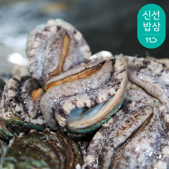 완도 참 전복 활전복 8-9미 1kg (산소포장)