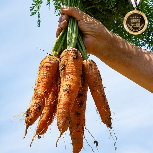 구좌당근 주스용 1kg (3900원 / 무배)