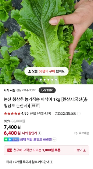 논산 청상추 농가직송 아삭이 1kg