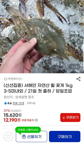 서해안 자연산 활 꽃게 1kg