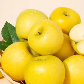 경북 황금사과 시나노골드 가정용 2kg