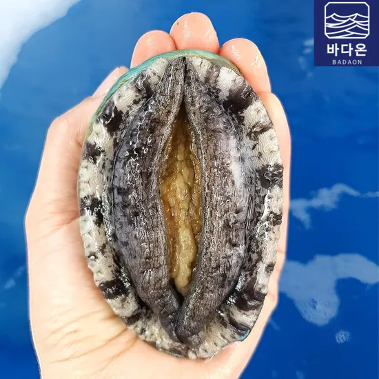 완도 활전복 1kg 9-10미