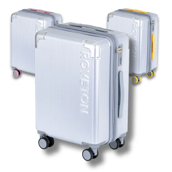 로브톤 20인치+28인치 캐리어