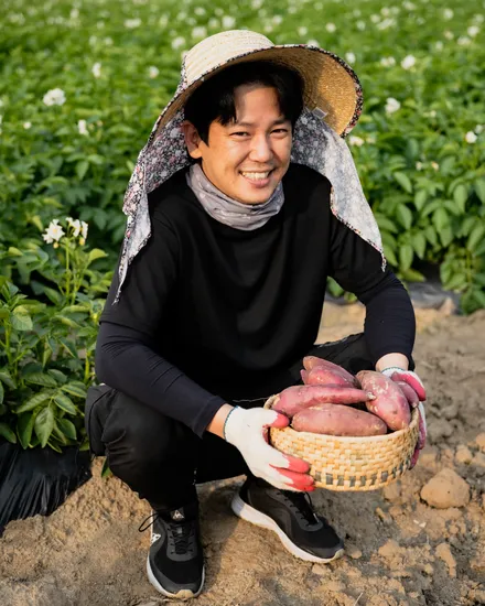 해남 꿀고구마 3kg 10kg