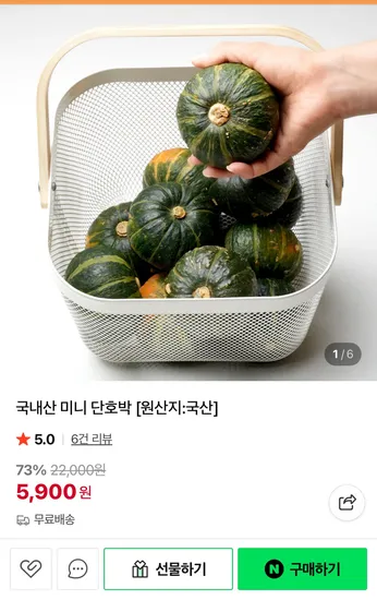 제주 보우짱 미니 단호박 4kg