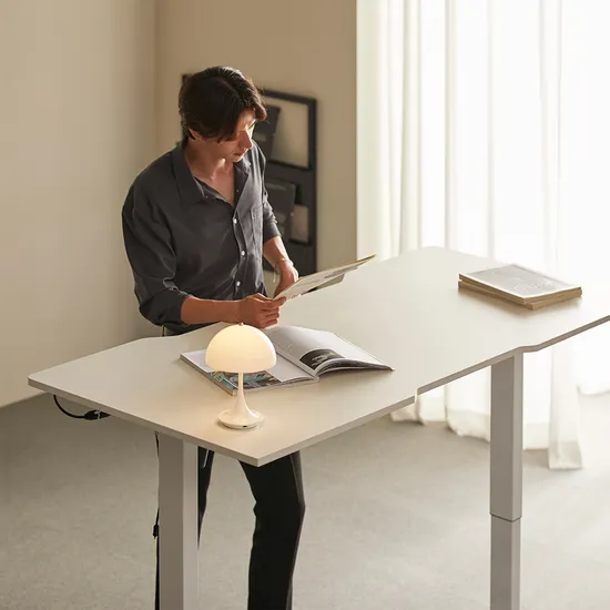 MD301 전동 모션데스크 1개