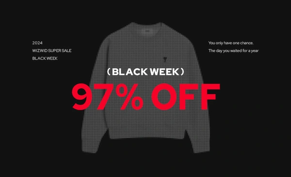 위즈위드 페이코 17%