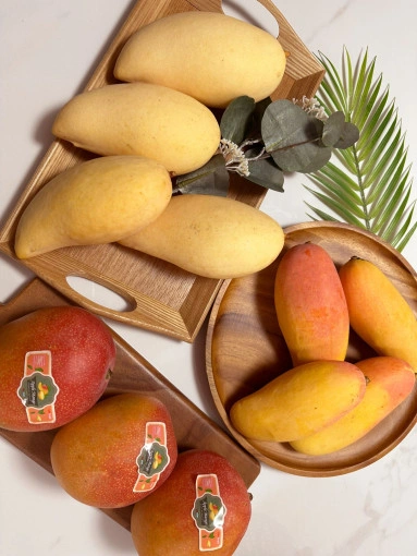 네이버멤버쉽) 애플망고 2kg 0.99