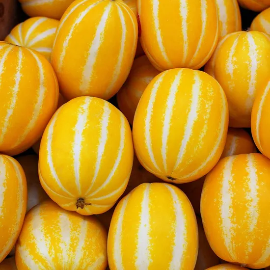 고당도 성주 꿀 참외 5kg 8,900원