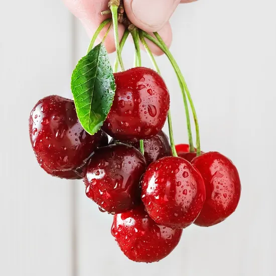 미국산 생체리 500g 9,040원