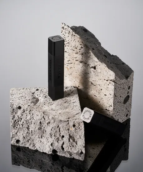 블랙몬스터 2in1 듀얼 컬러립밤