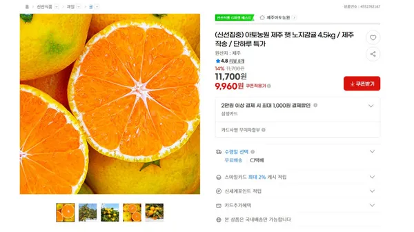 제주 햇 노지감귤 4.5kg