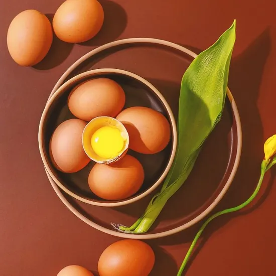 난각번호 1번 방사 유정란 40구