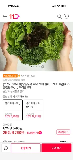 5종 샐러드 채소 1kg