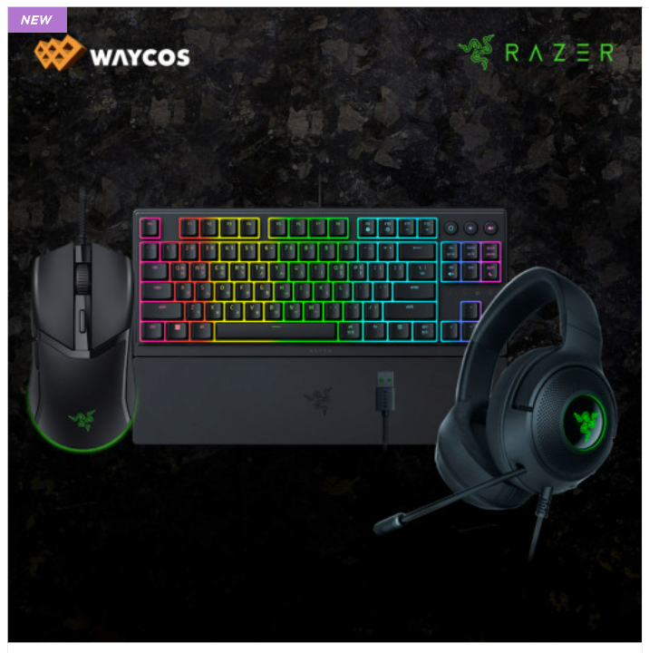 Razer Kraken V3 X Plus + Ornata V3 TKL KR + Cobra 번들 세트 할인