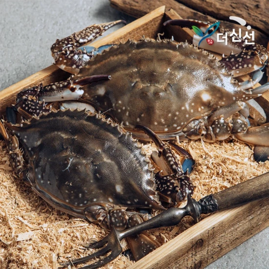 태안 자연산 꽃게 2kg 5-10미