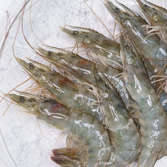 국내산 제철 활새우 1kg(28미 내외)