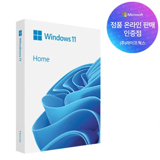 마이크로소프트 윈도우 11 Windows 11 Home FPP 정품USB