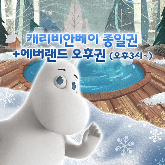 캐리비안베이 종일권+에버랜드 오후 입장권