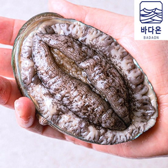 완도산 활전복 1kg (9~10미)외 다양