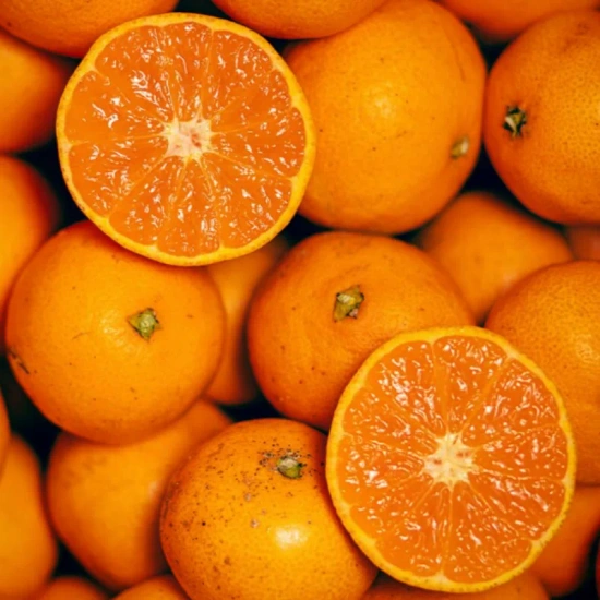 제주 노지감귤 4.5kg