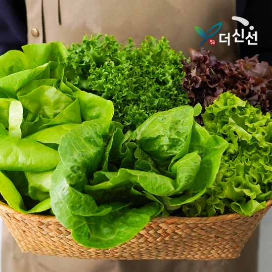 유러피안 샐러드 채소 1kg 3종 이상 - 식단용 샐러드로 활용 ㄱㄱ