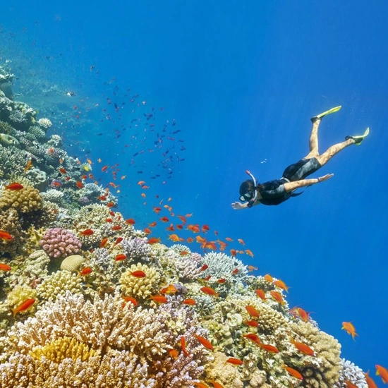 보홀 솔레아리조트 3박5일 패키지