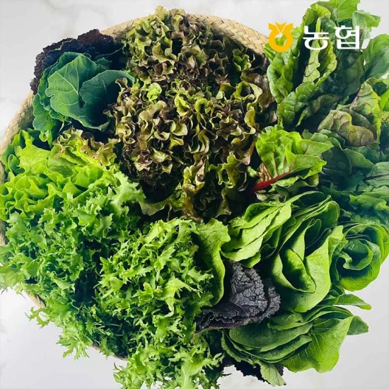농협선별 국내산 유러피안 샐러드 600g 4~6종 랜덤 // 타 업체 1kg 7400원대 링크 별도