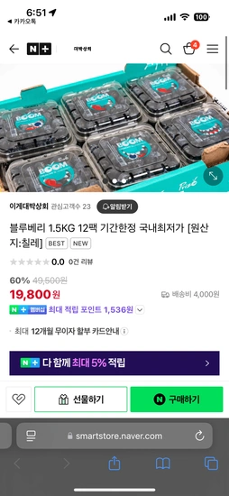 블루베리 125gX12팩 총 1.5kg