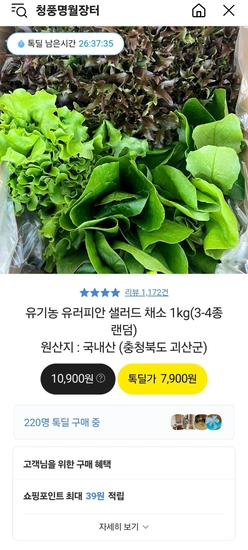 유기농 유러피안 샐러드 1kg