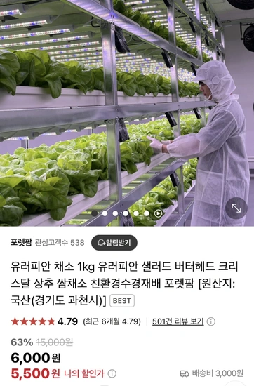 유러피안 채소 1kg