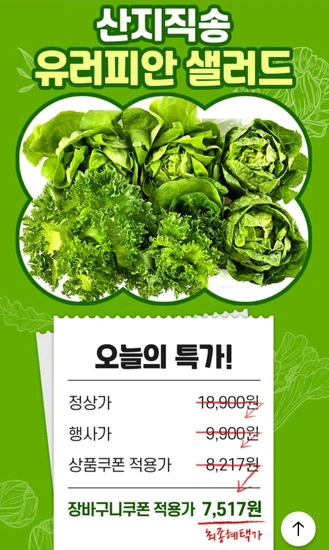 유러피안 샐러드 1kg (5종 중 랜덤 3종)