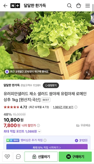 유리퍼안 샐러드 풀때기 1kg (카이피라+레드바티아)