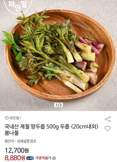국내산 제철 땅두릅 500g (20cm내외) 유니버스클럽