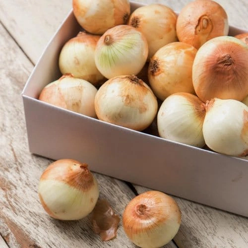 전남 고흥 거금도 햇양파 3kg 대