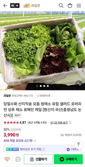 당일수확 산지직송 모듬 쌈채소 유럽 샐러드 유러피언 상추 채소 로메인 케일 1kg