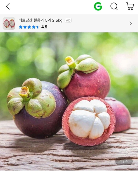 망고스틴 생과 500g 4망 2kg 16-32과