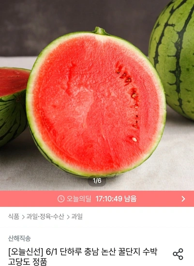 논산 꿀단지 수박 6-7kg