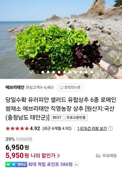 유러피안 샐러드채소 1kg