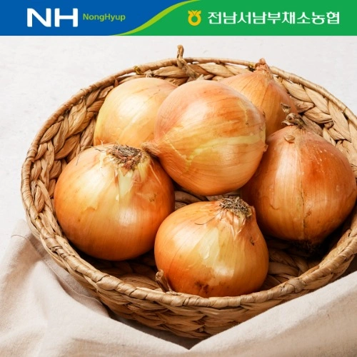 무안 햇양파 5kg